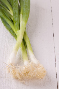 scallionnwsltr2
